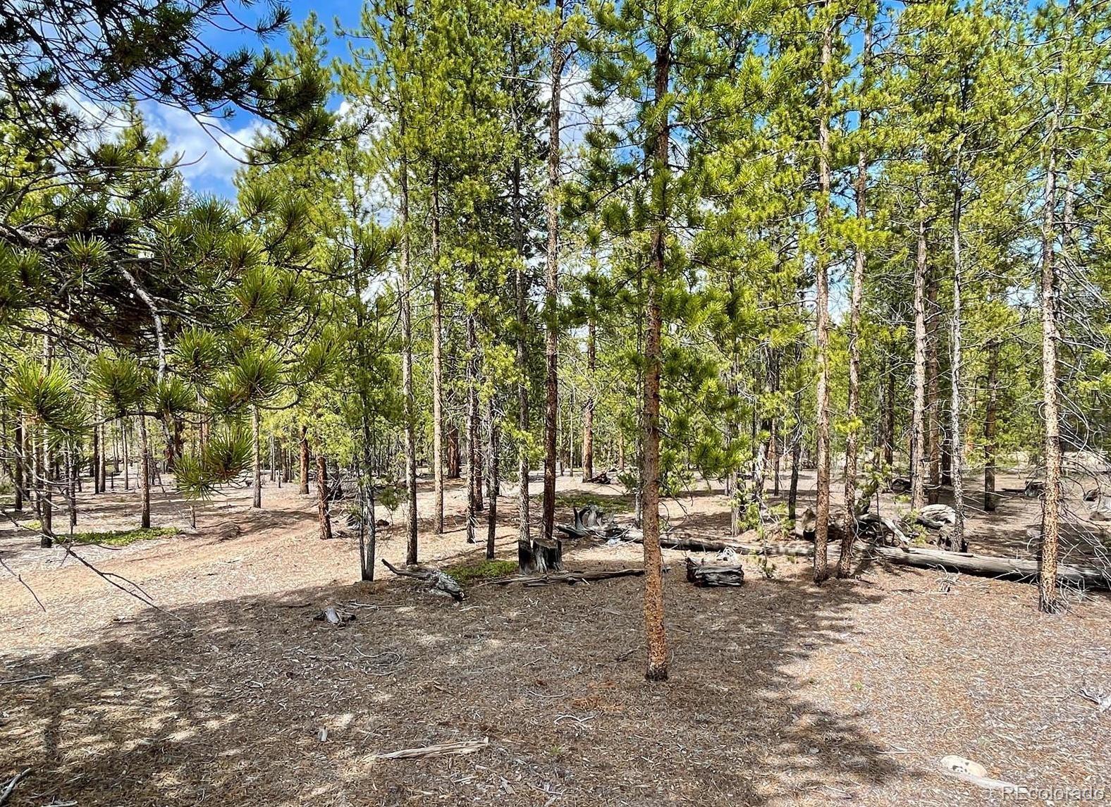 267 Juniper Drive