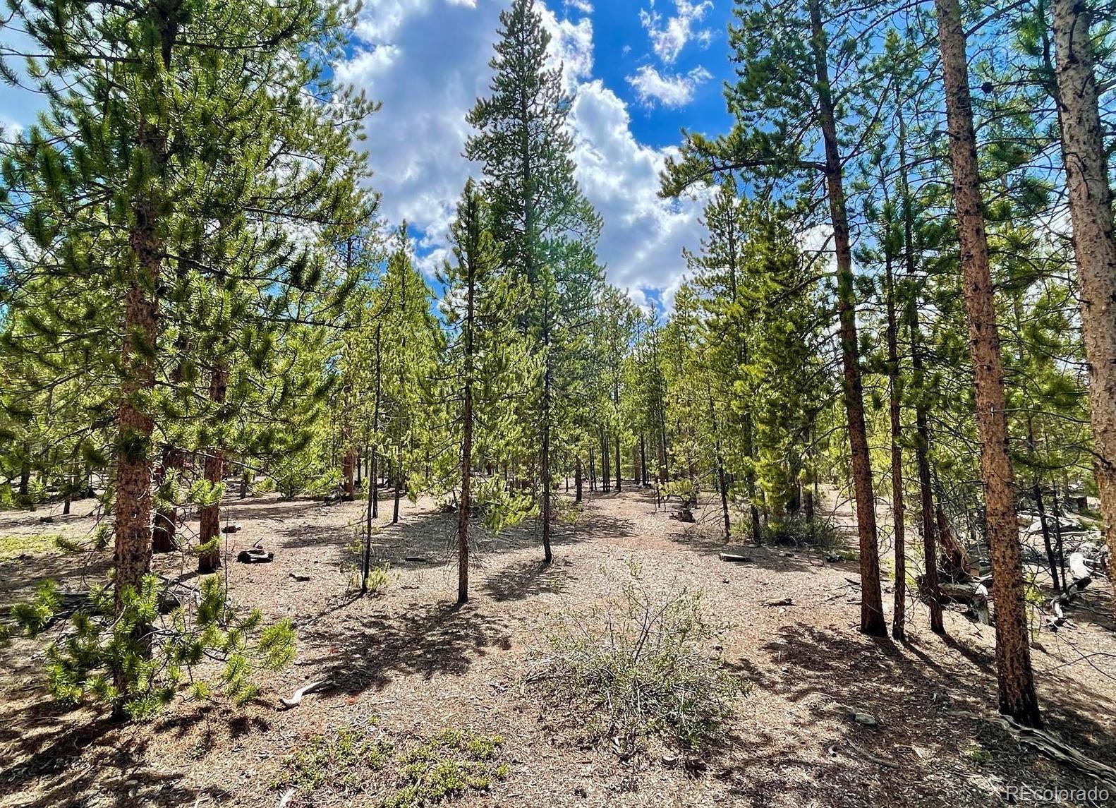 267 Juniper Drive