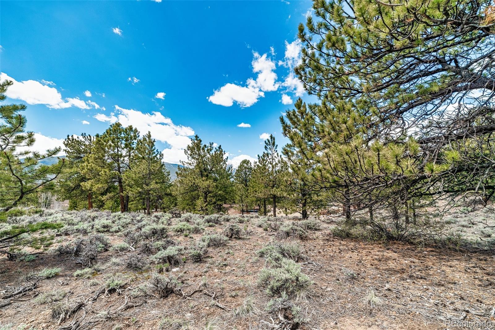 5310 County Road 10