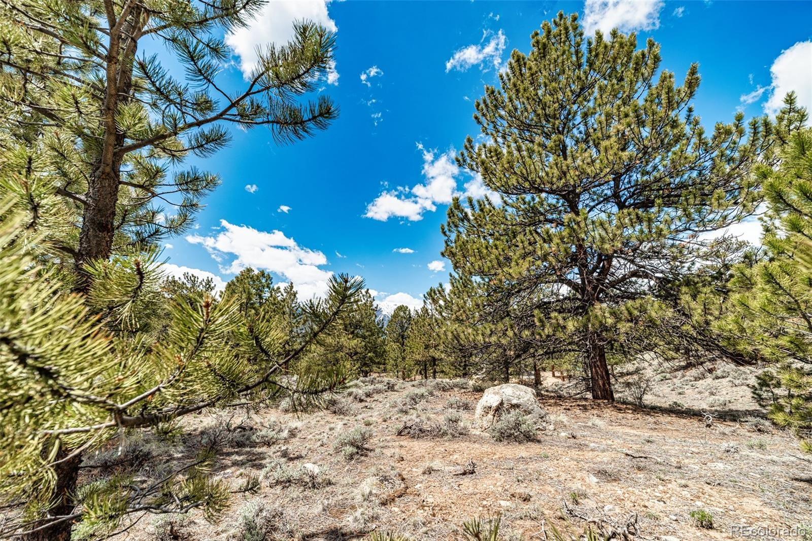 5310 County Road 10