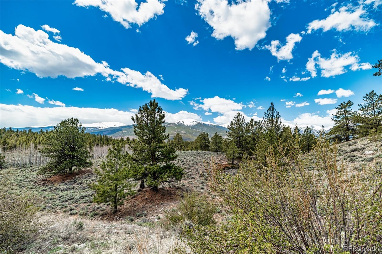 5310 County Road 10