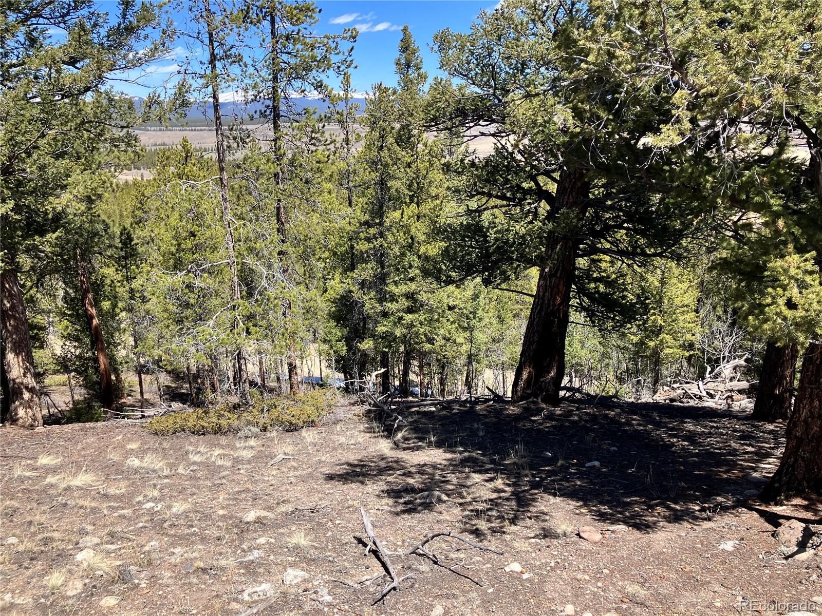 274 Mt Elbert Road