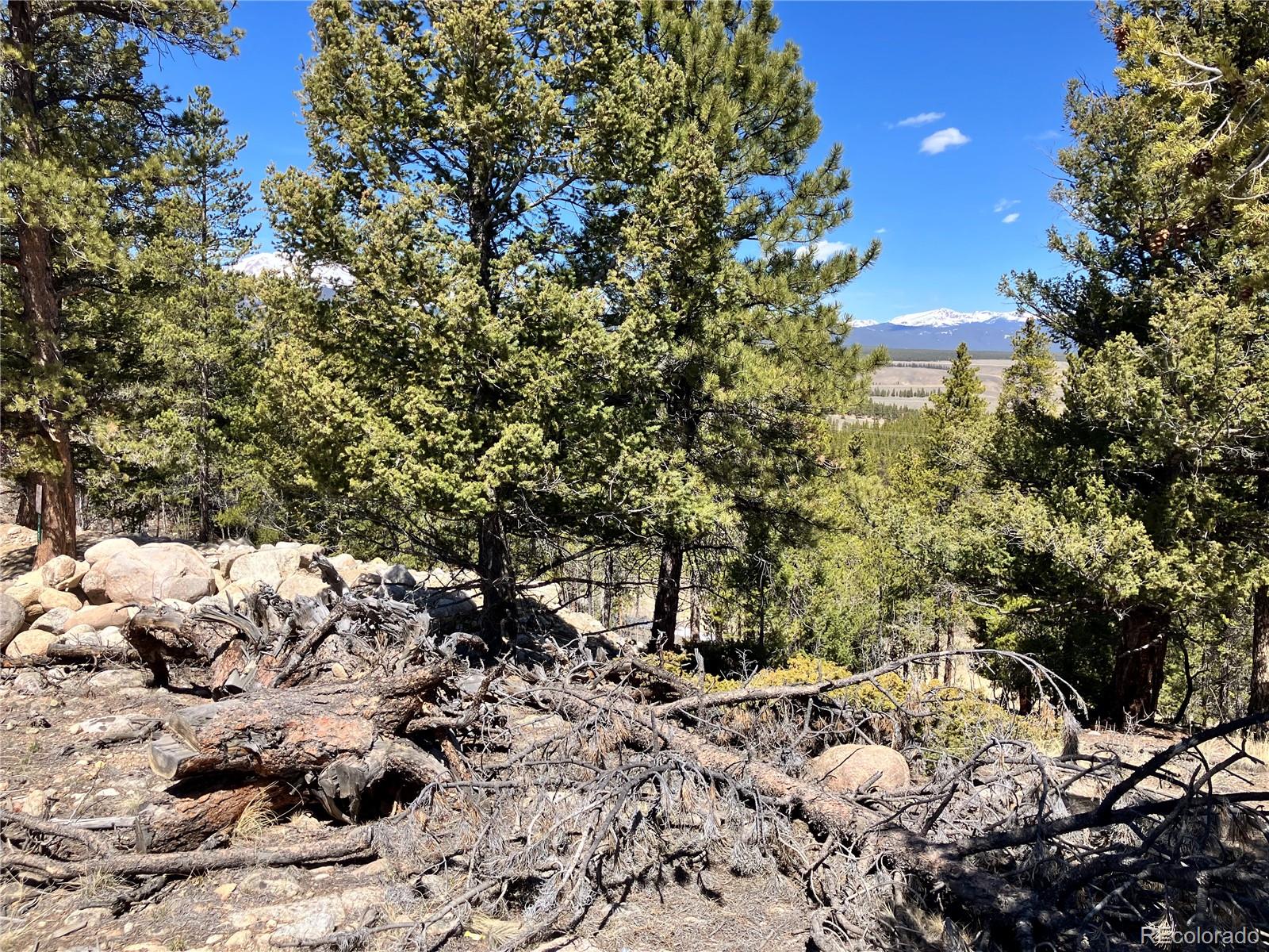 274 Mt Elbert Road