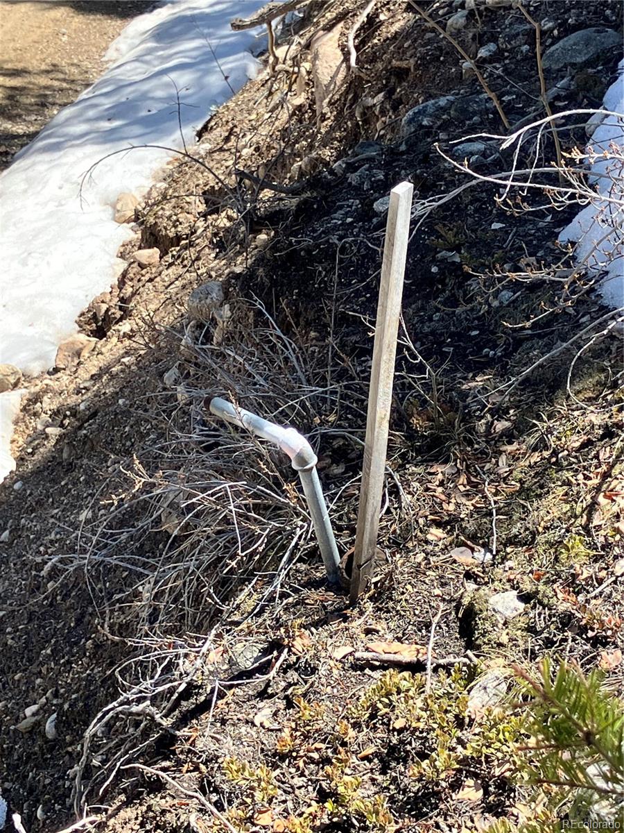 274 Mt Elbert Road