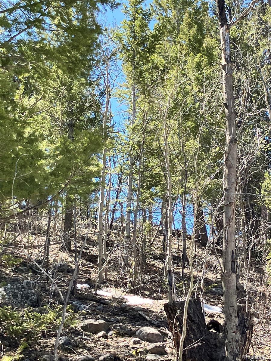 274 Mt Elbert Road