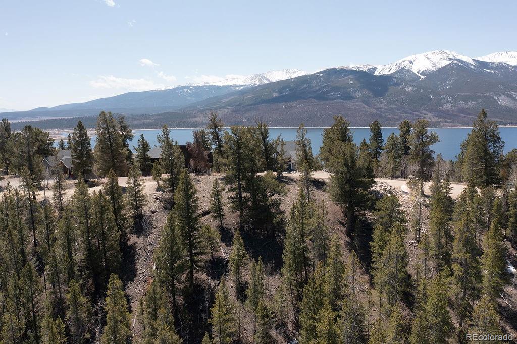274 Mt Elbert Road