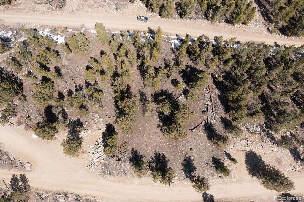 274 Mt Elbert Road
