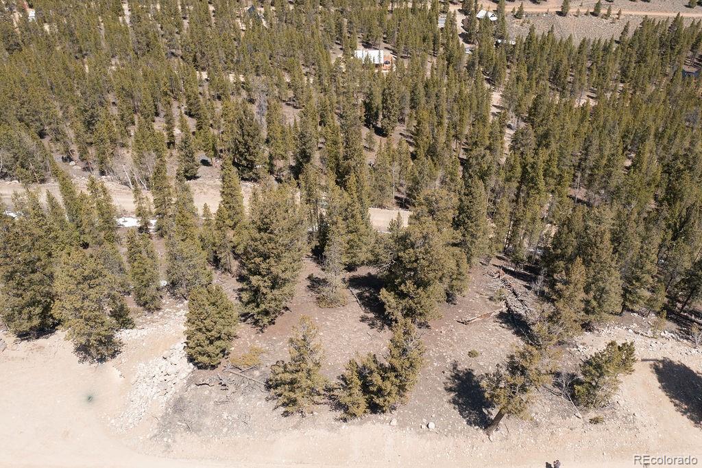 274 Mt Elbert Road