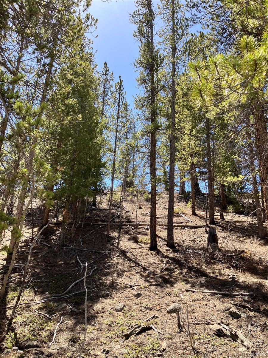 274 Mt Elbert Road