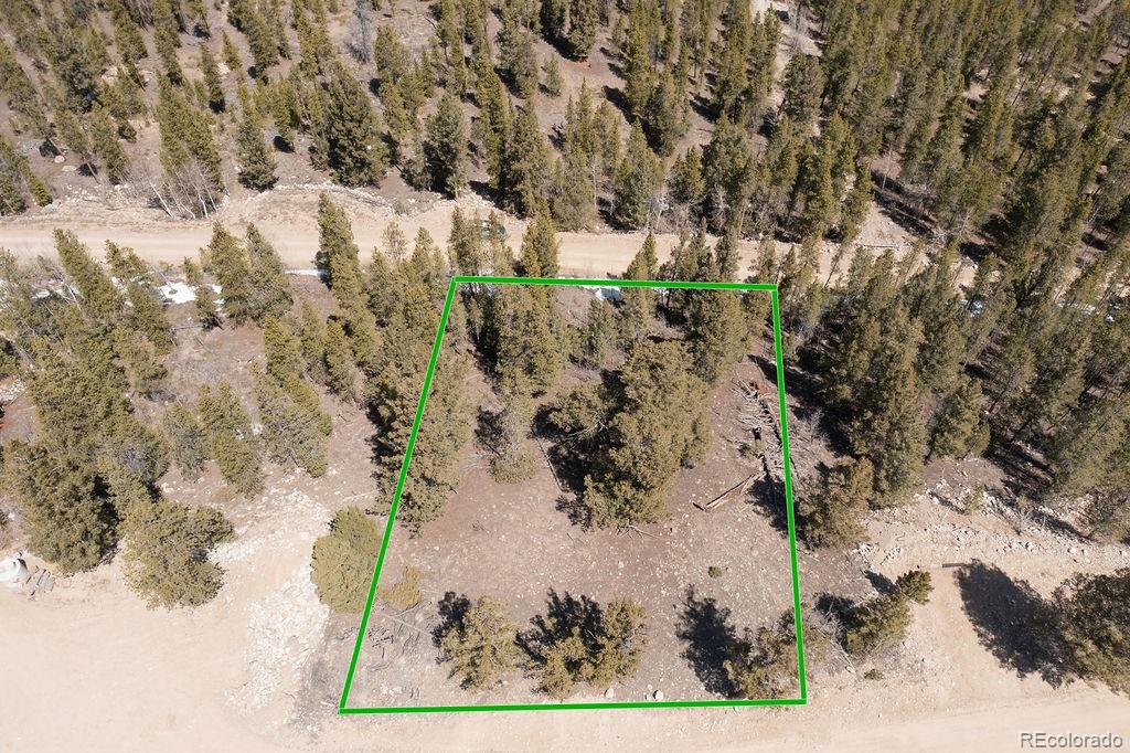 274 Mt Elbert Road