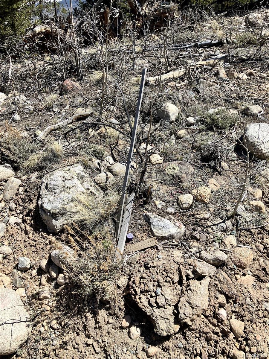 274 Mt Elbert Road