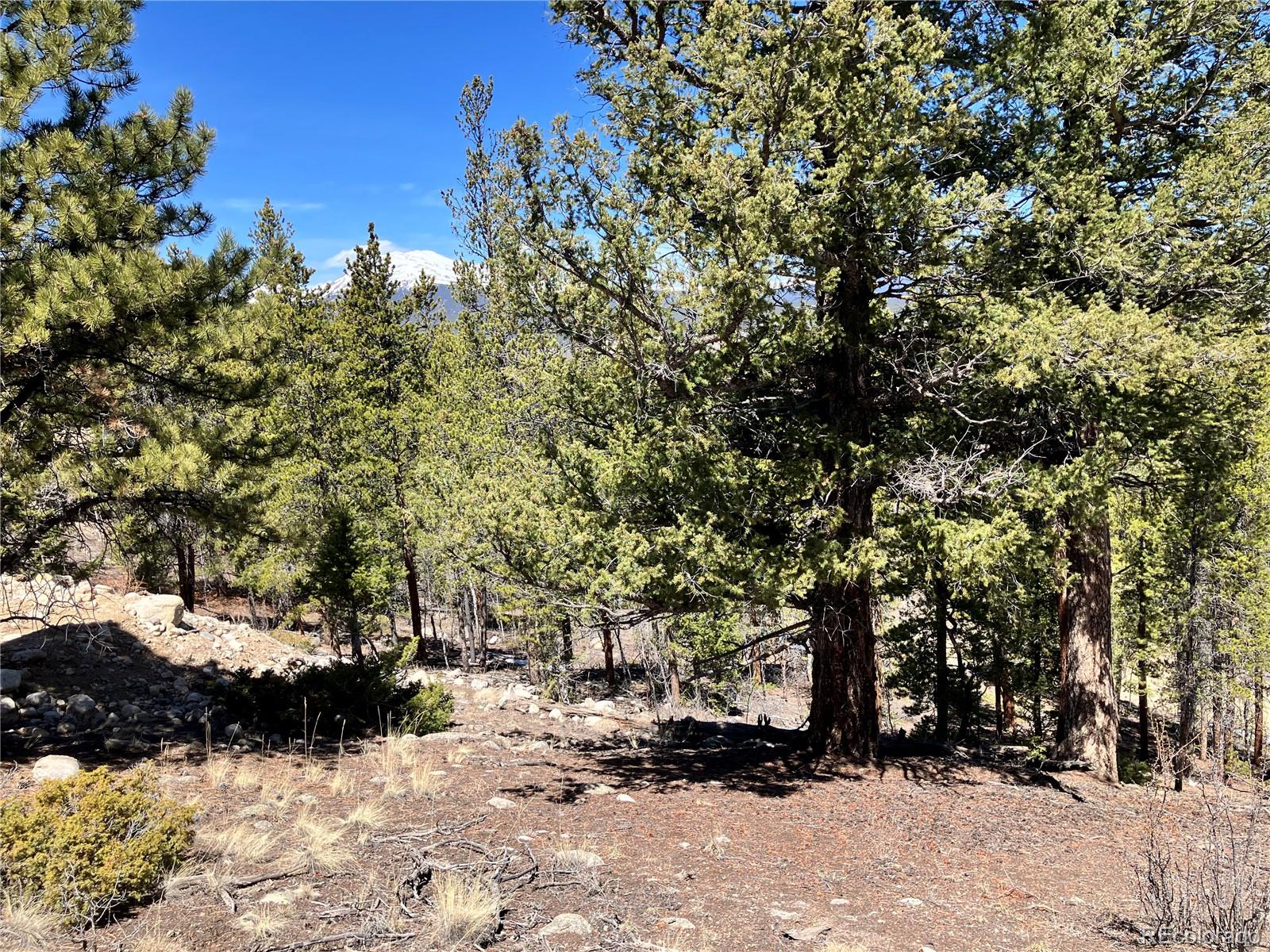 274 Mt Elbert Road