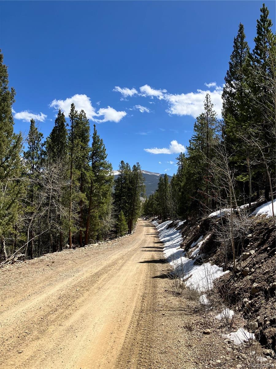 274 Mt Elbert Road