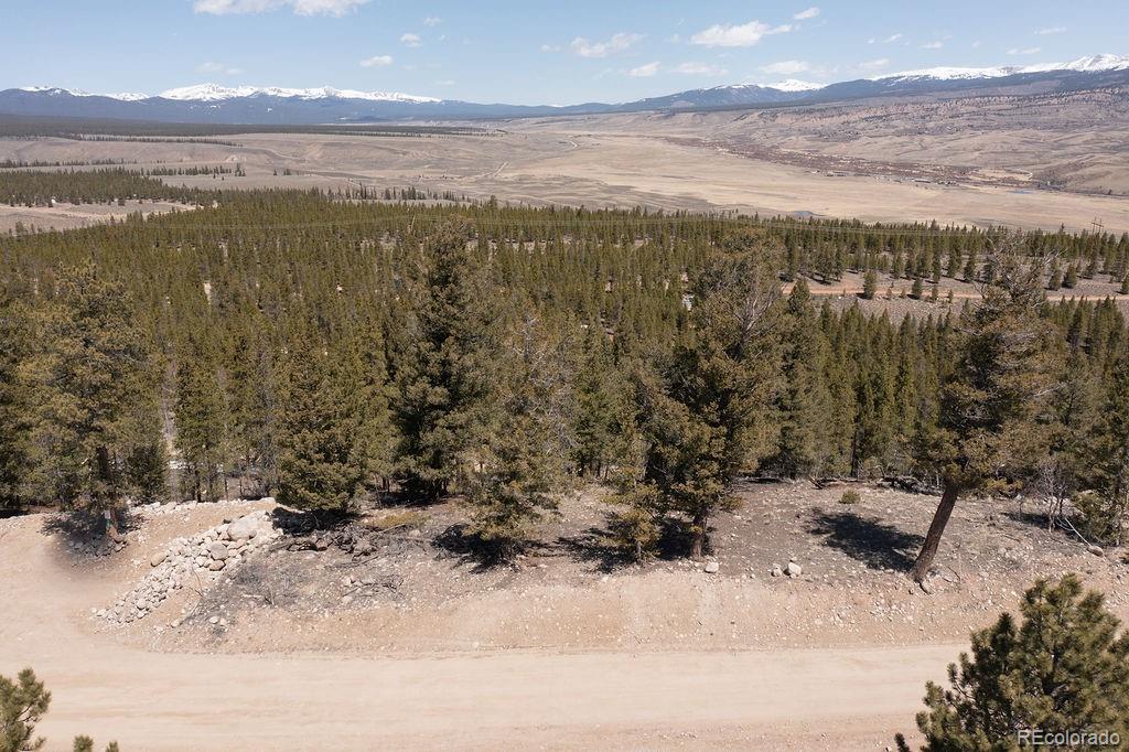 274 Mt Elbert Road