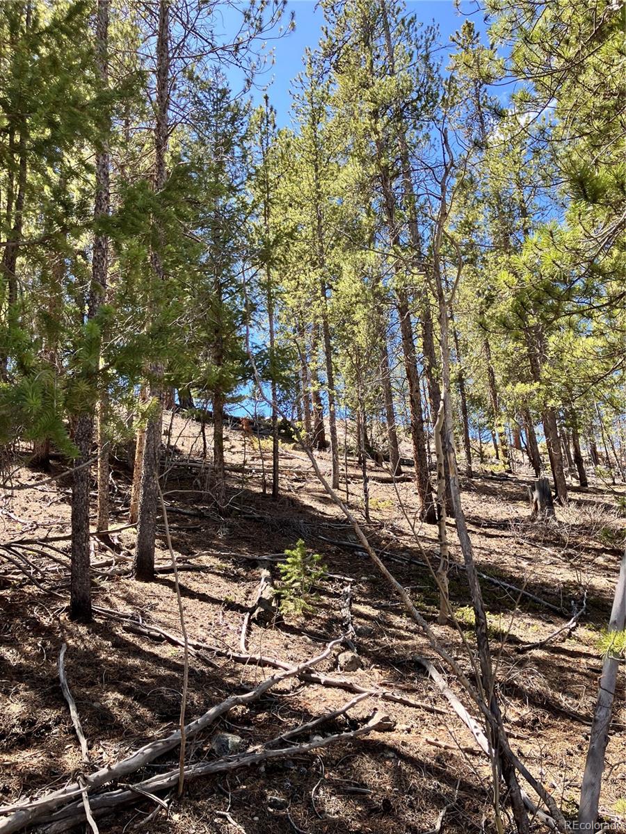 274 Mt Elbert Road