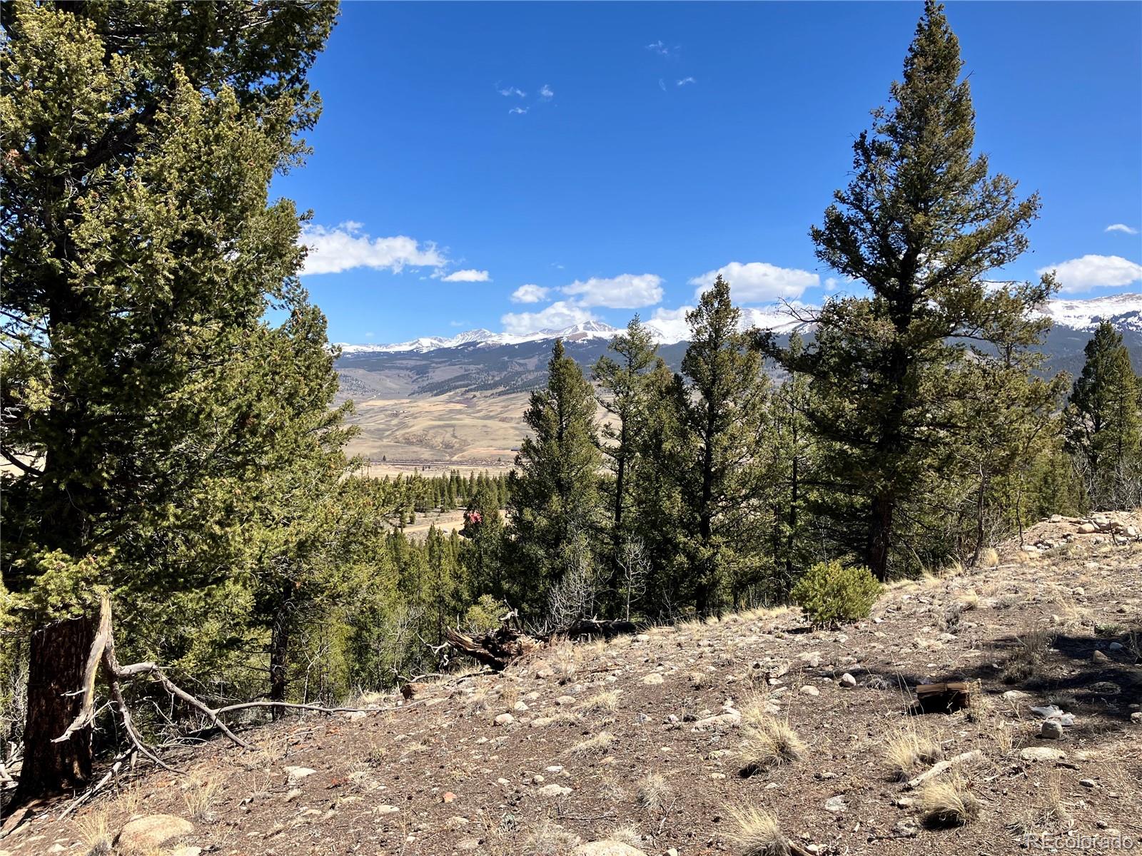274 Mt Elbert Road