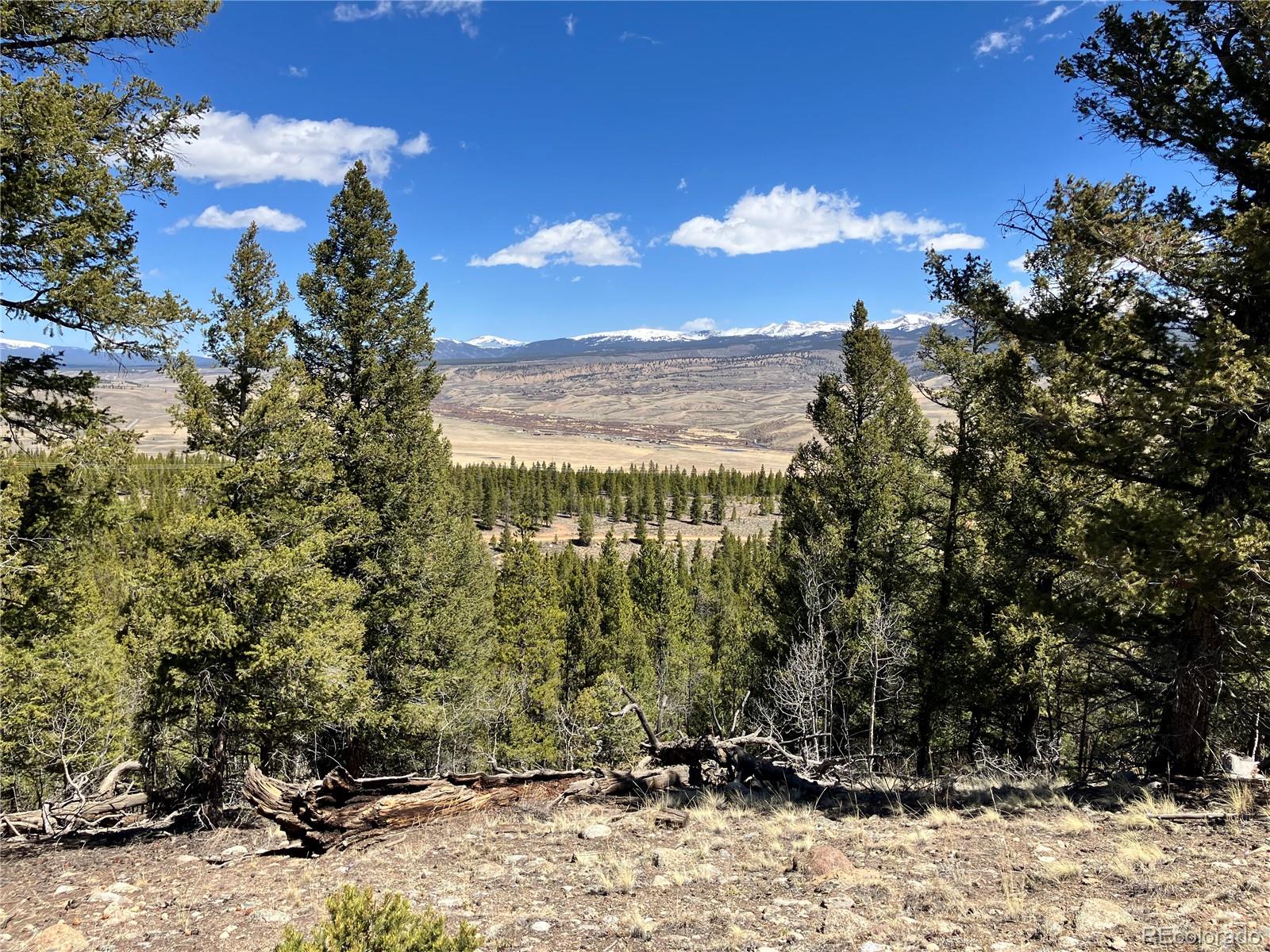 274 Mt Elbert Road