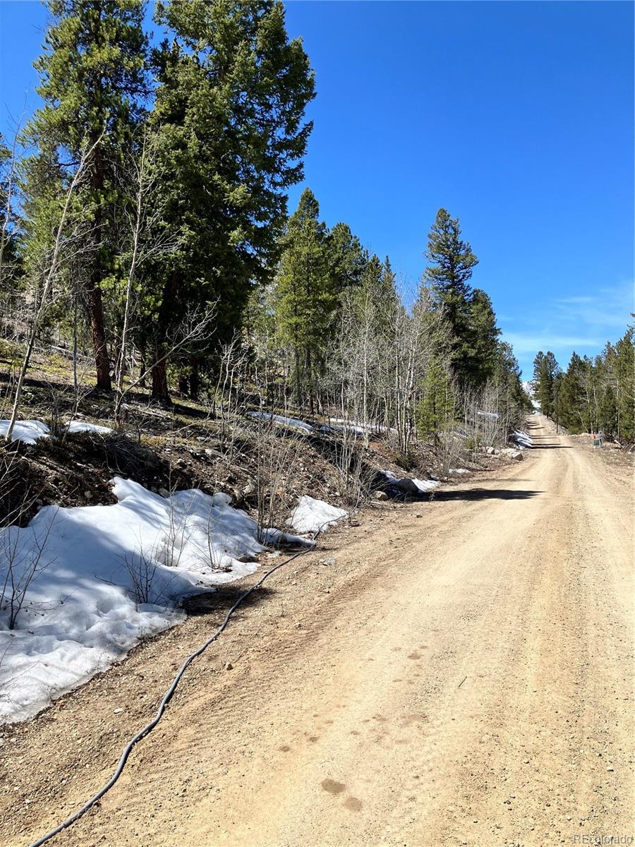 274 Mt Elbert Road