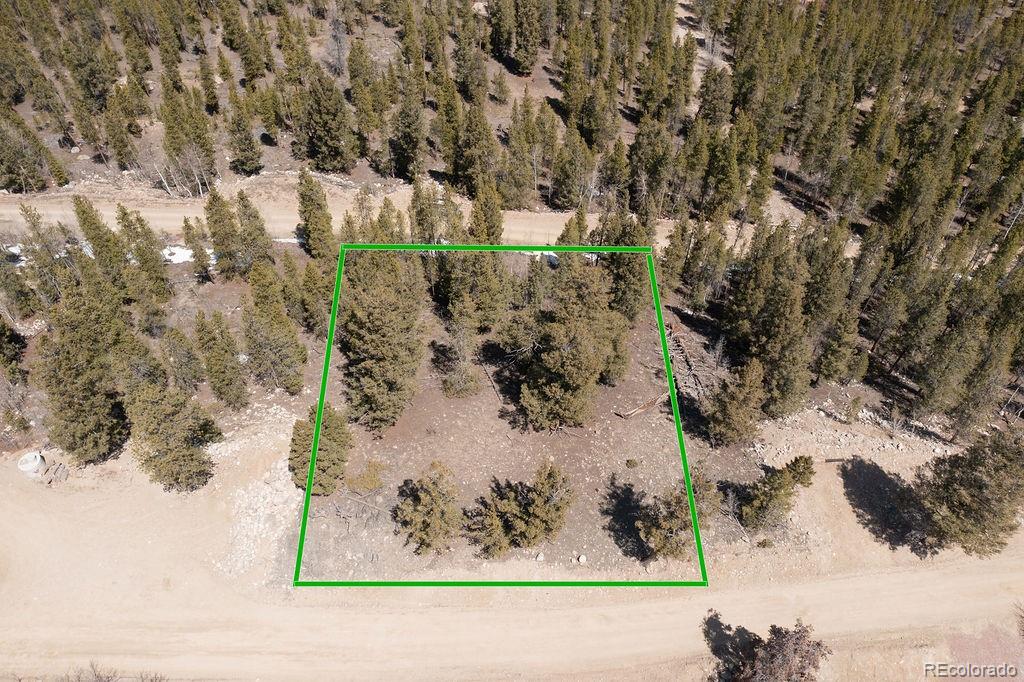 274 Mt Elbert Road