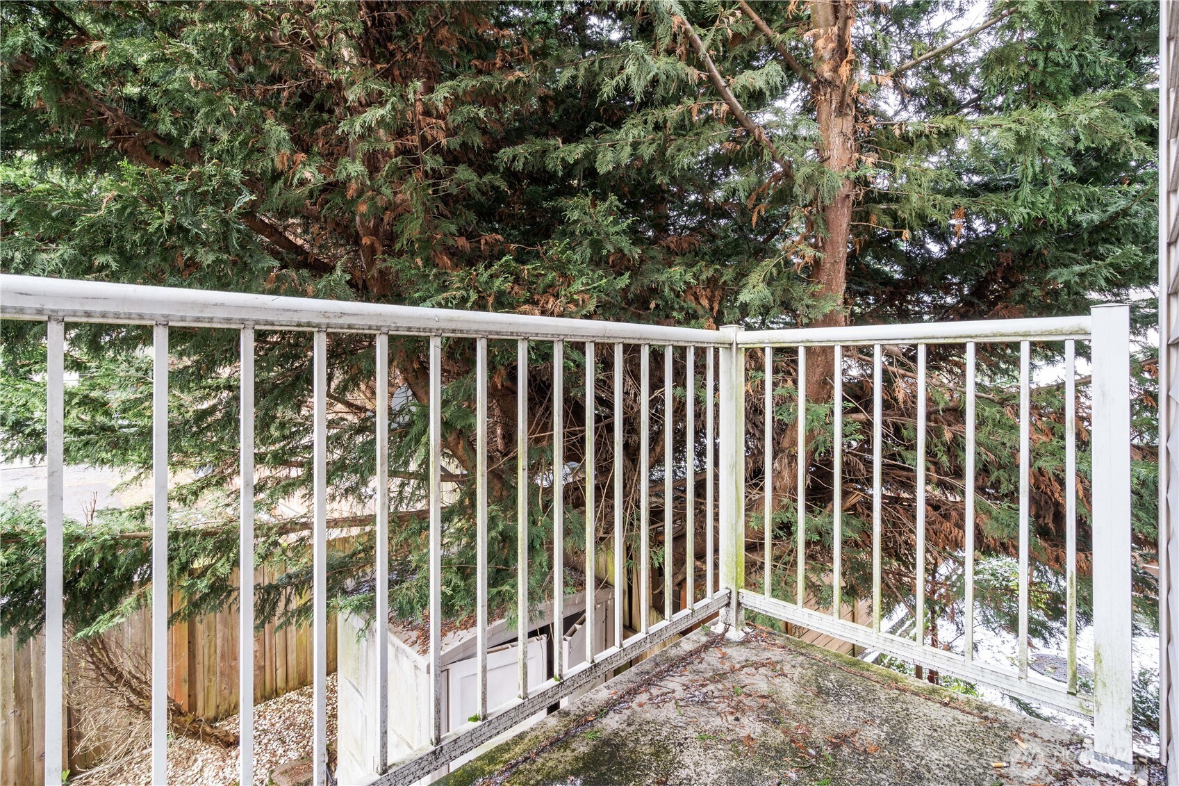 14347 Stone Avenue N Unit: B