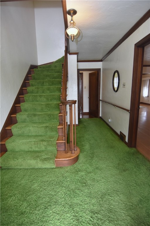 3700 Venango Ave