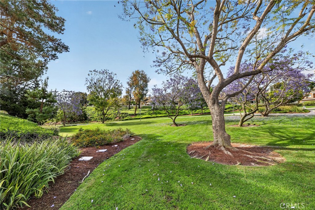 18 Parkwood