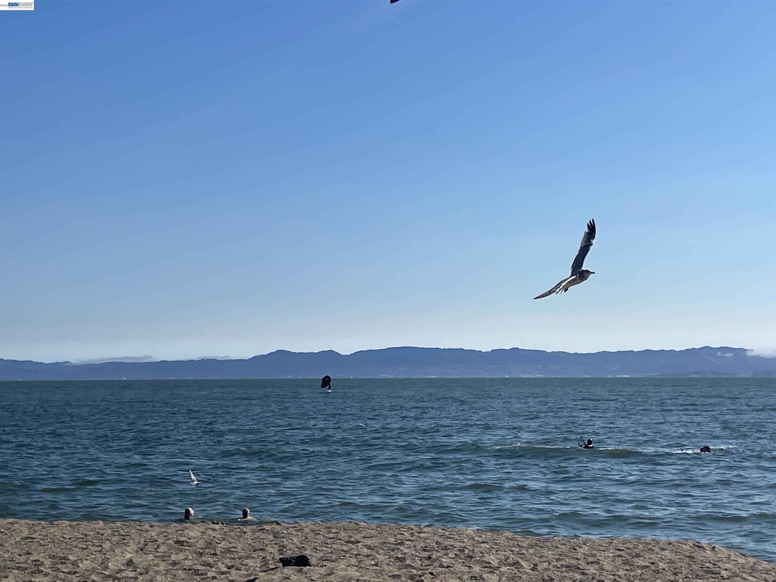 965 SHOREPOINT CT # 200