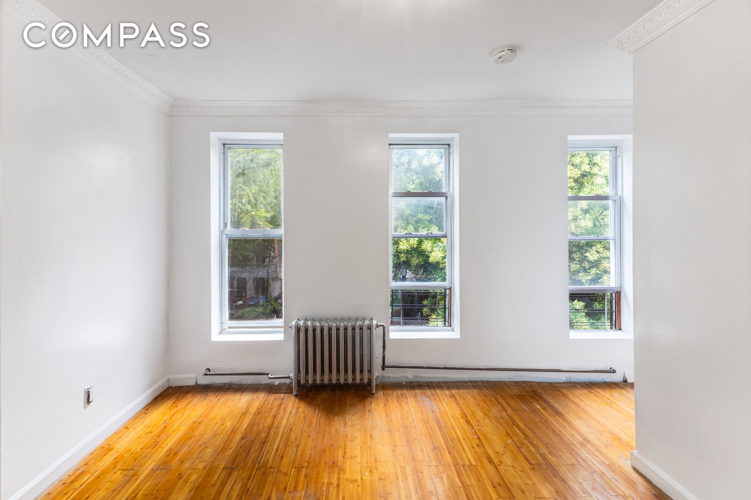 805 Greene Avenue