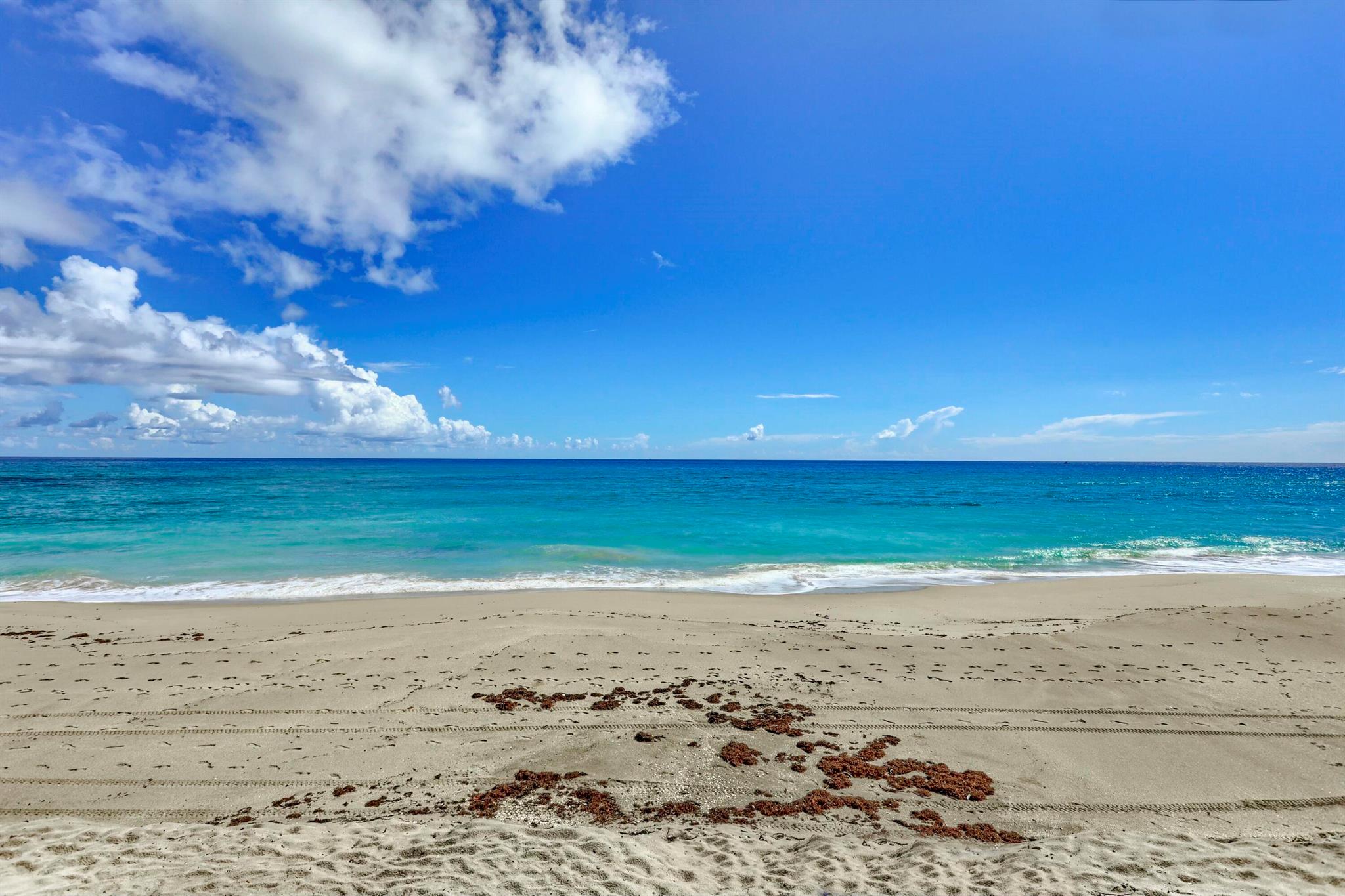 5000 N Ocean Drive 803