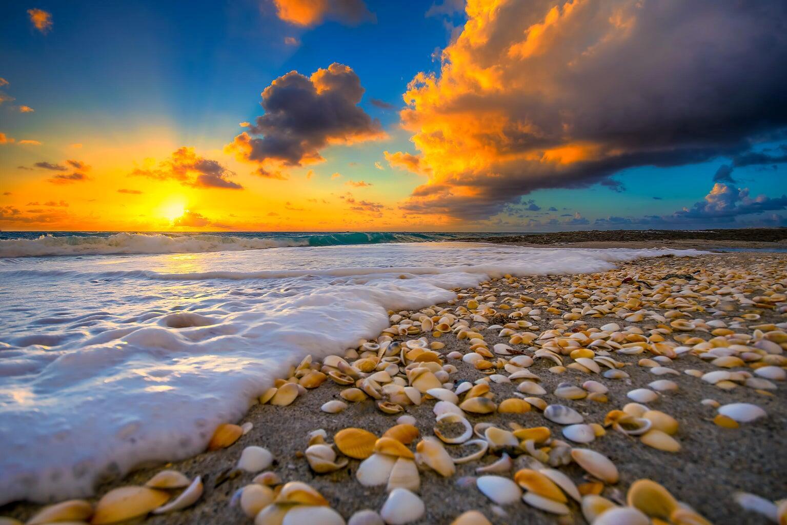 5440 N Ocean Drive 1206