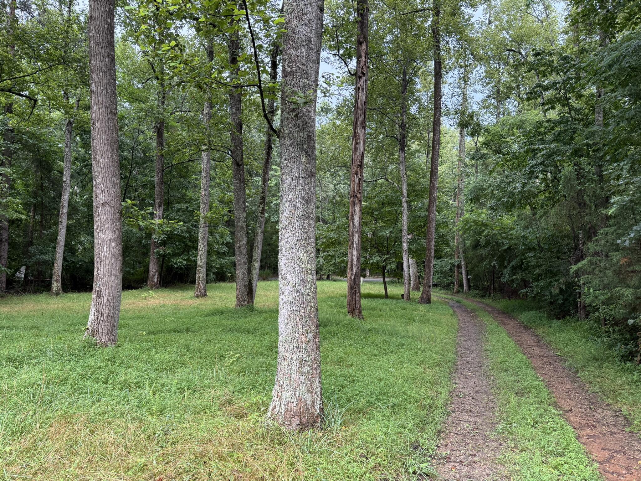 518 Briar Mountain RD