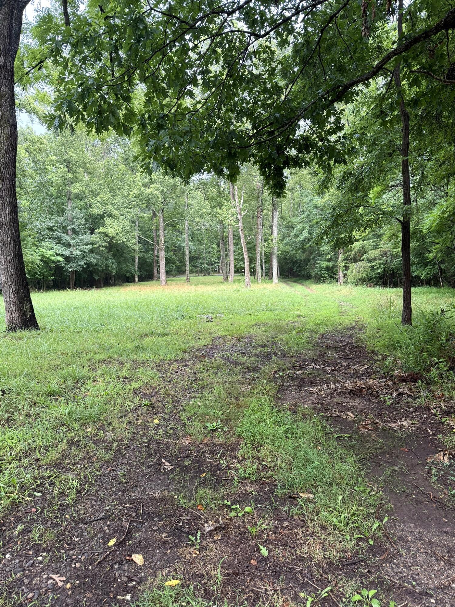 518 Briar Mountain RD