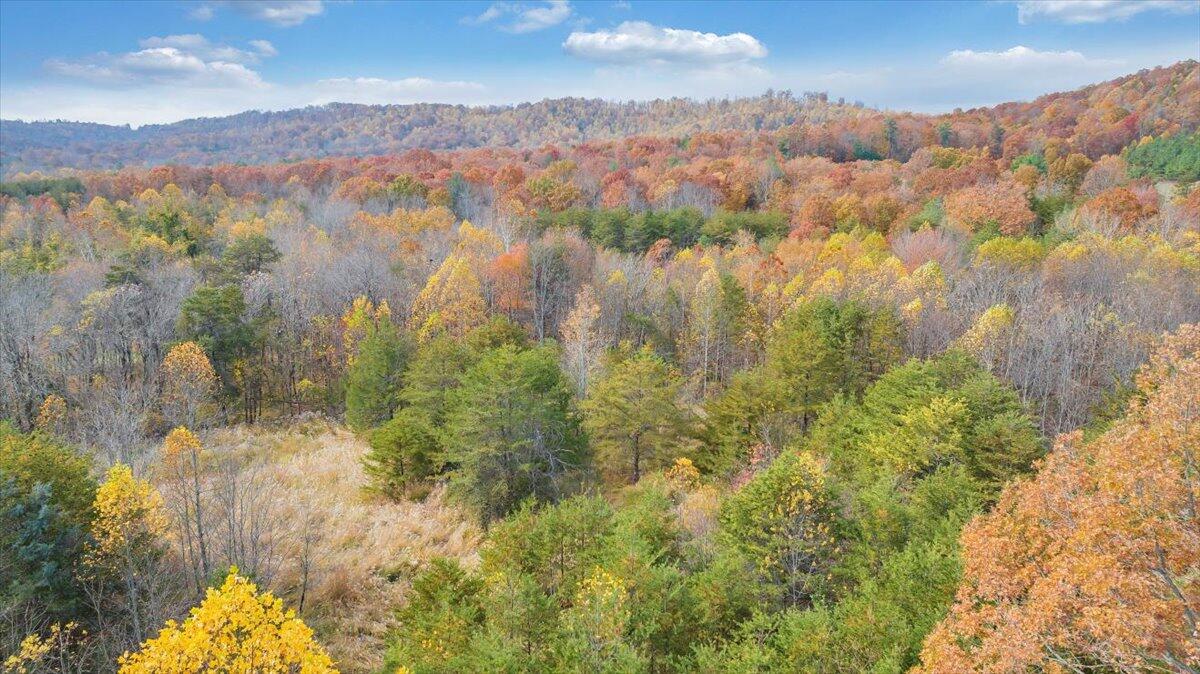 0 Briar Mountain RD