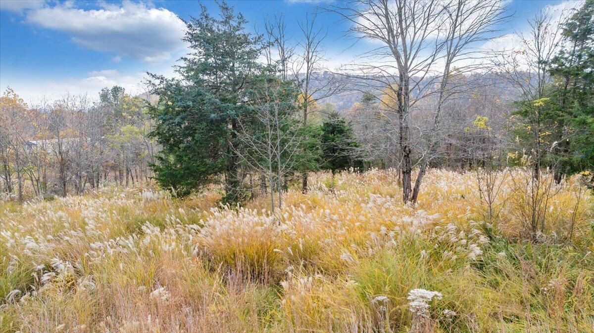 0 Briar Mountain RD