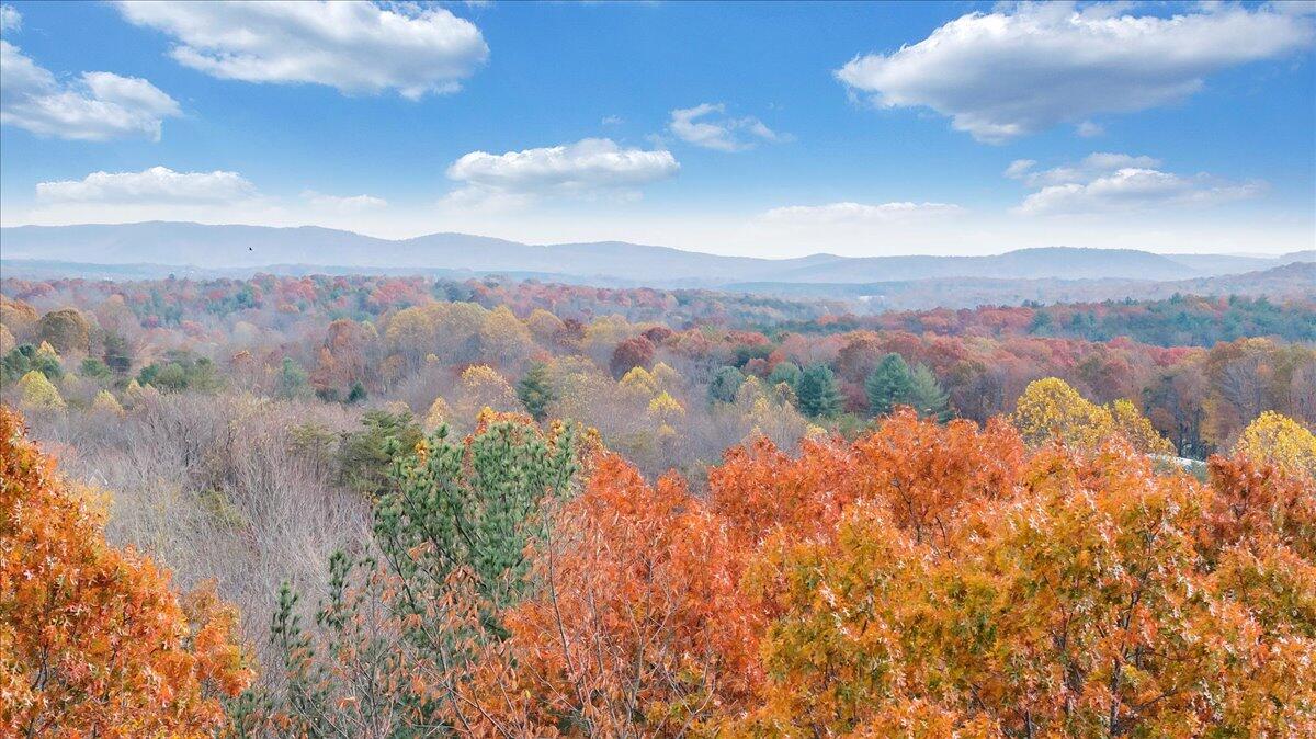0 Briar Mountain RD