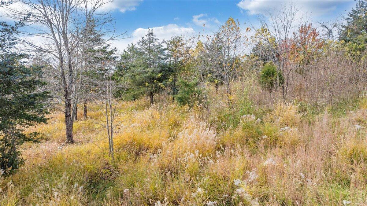 0 Briar Mountain RD