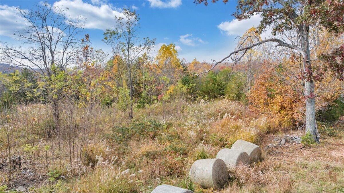 0 Briar Mountain RD