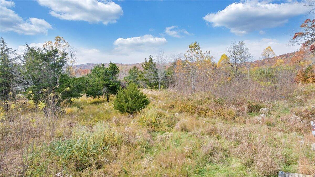 0 Briar Mountain RD