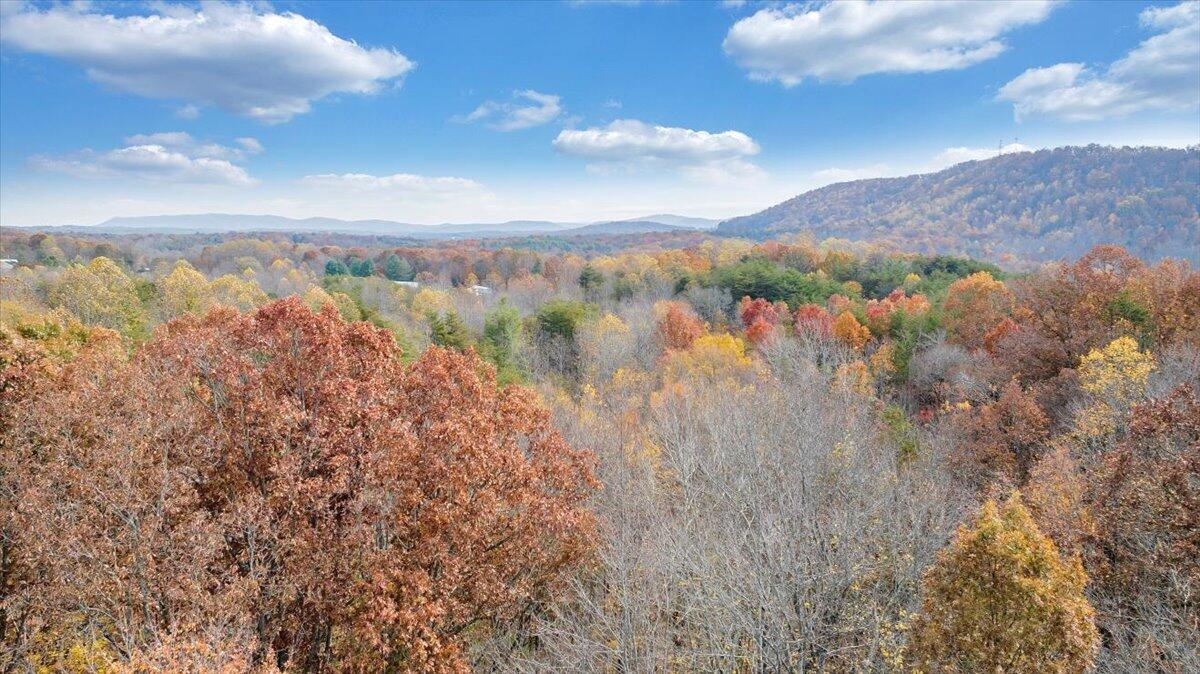 0 Briar Mountain RD