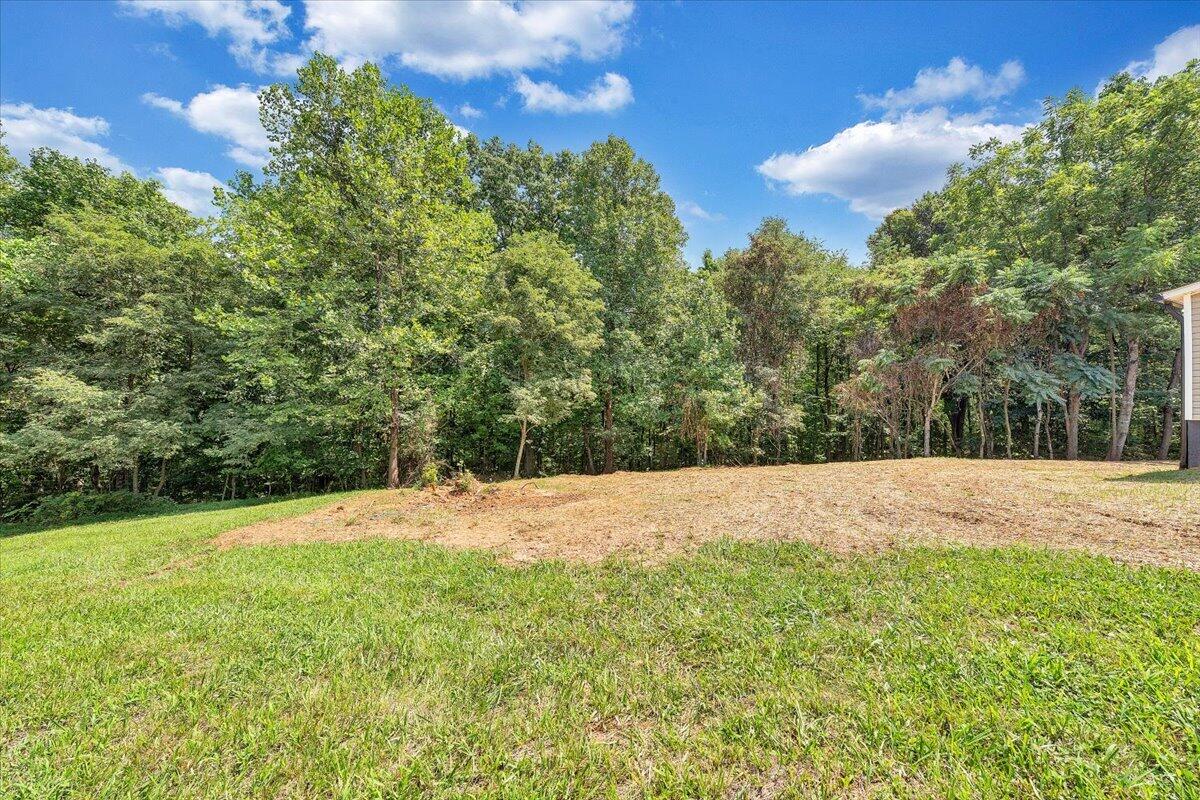 265 Meadow DR