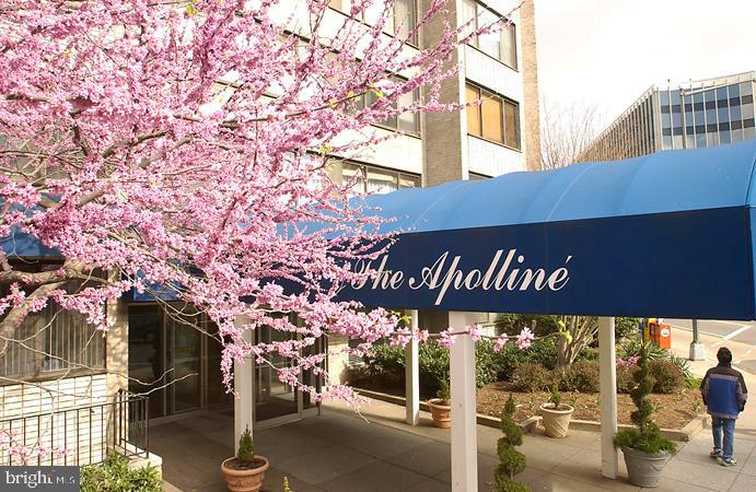 1330 New Hampshire Ave NW #903