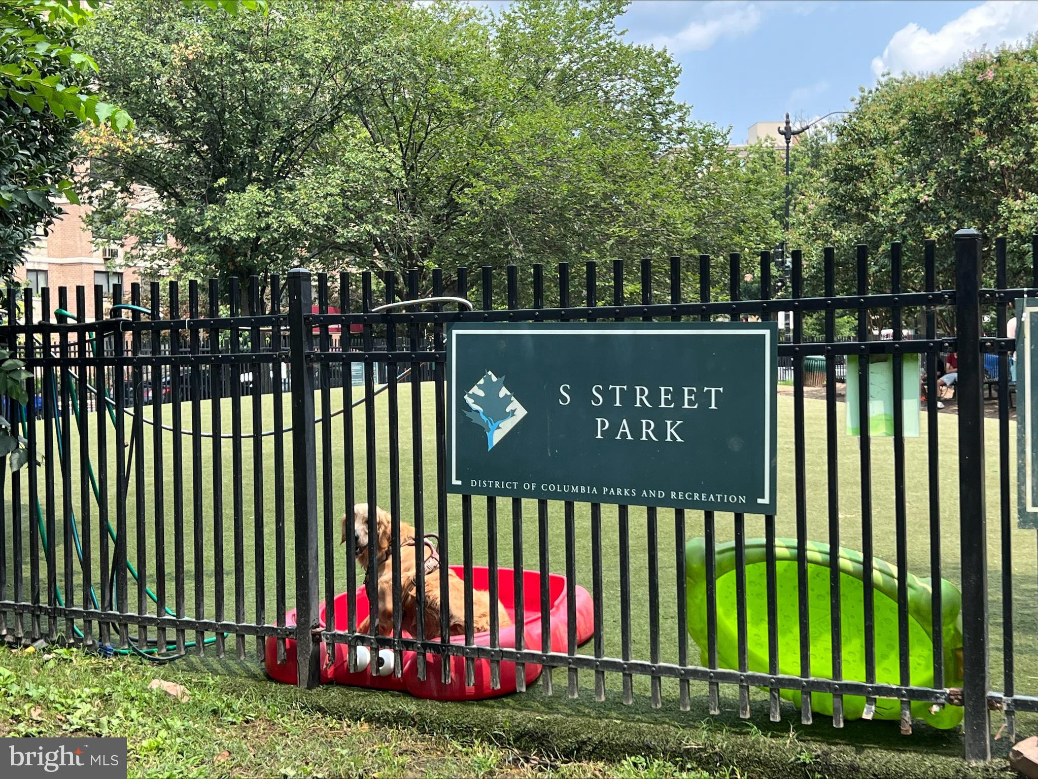 1916 17th St NW #302