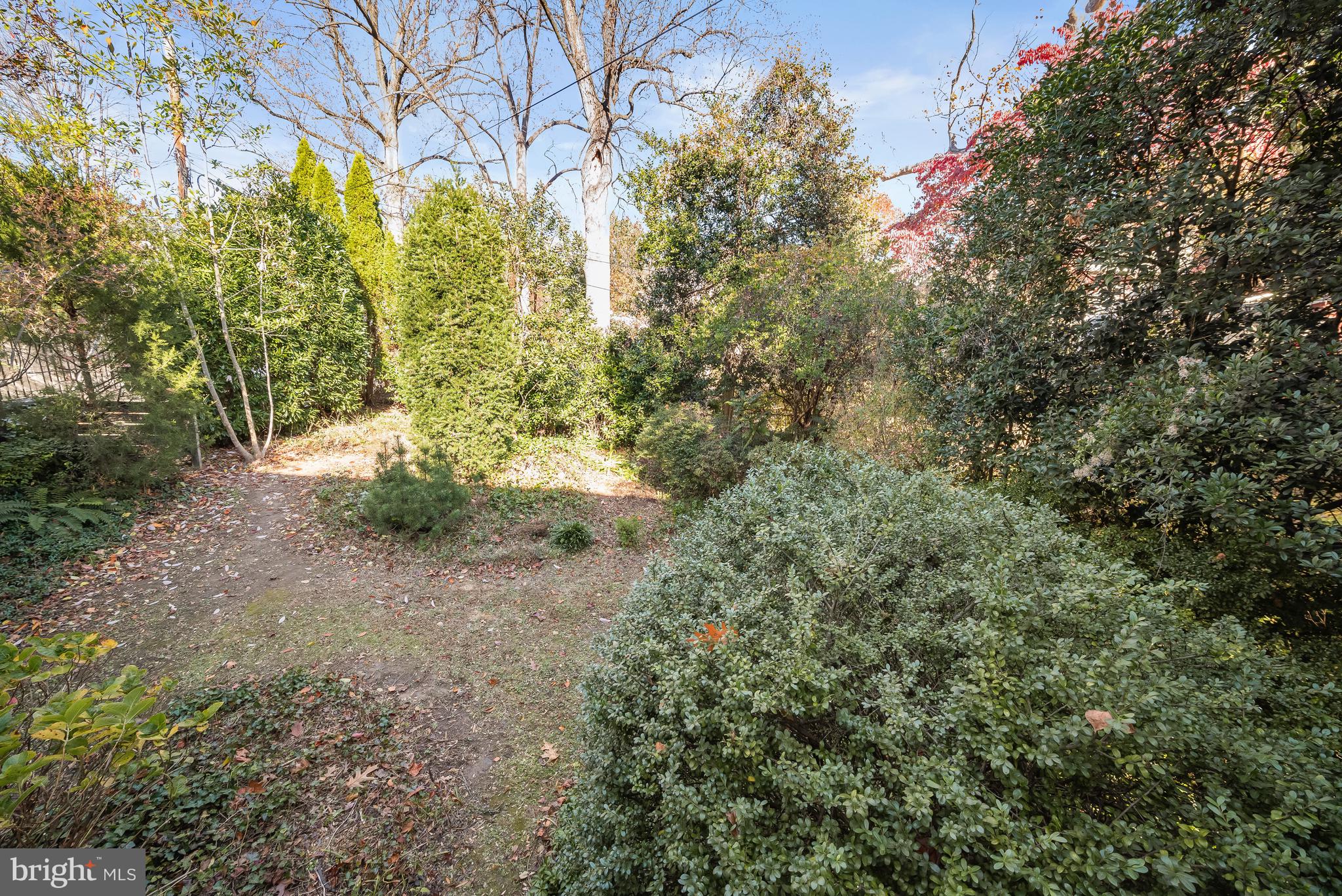 3609 MORRISON STREET NW