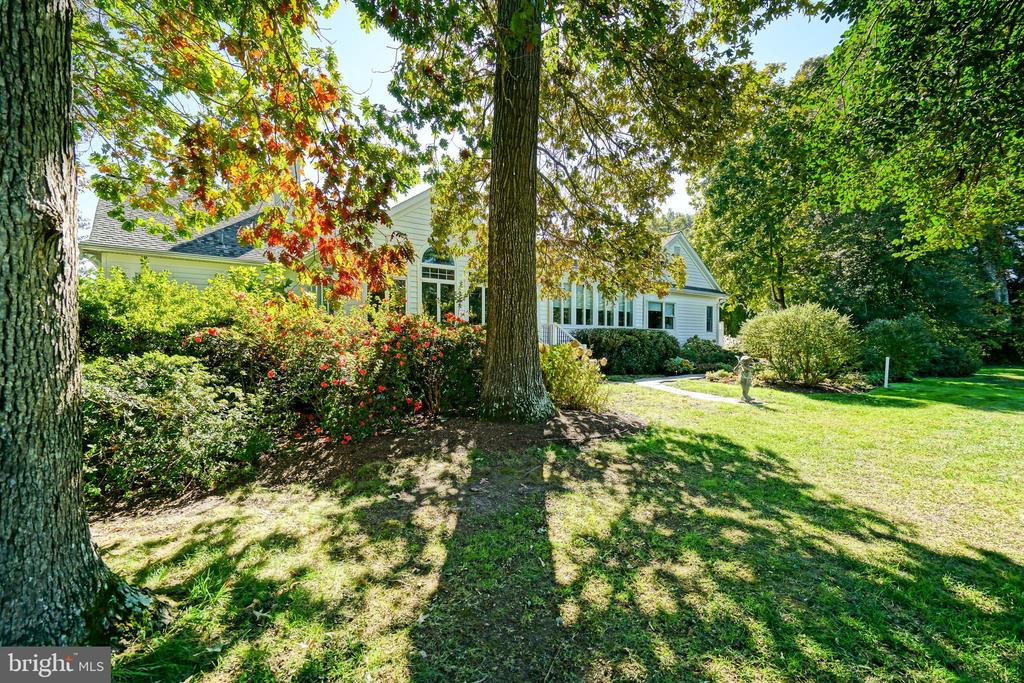 12 BLACK WALNUT COURT