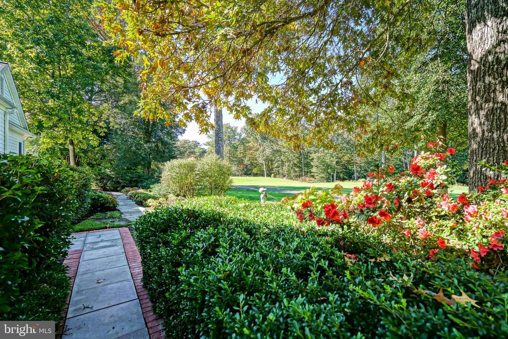 12 BLACK WALNUT COURT