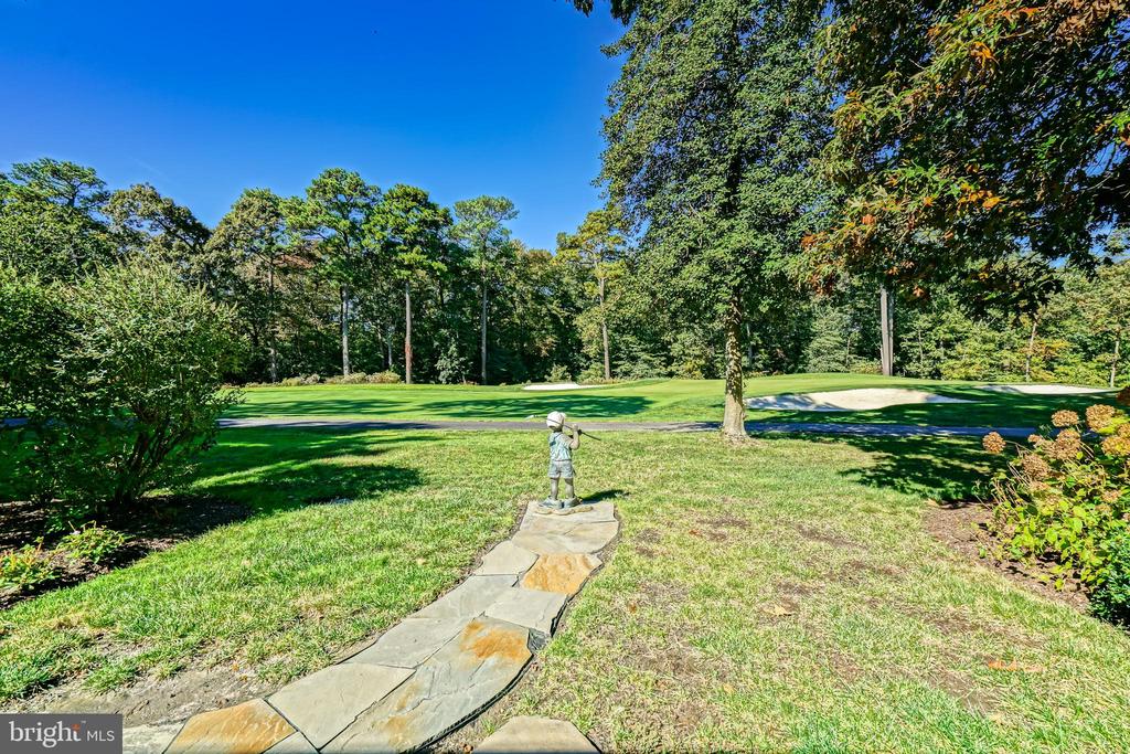 12 BLACK WALNUT COURT