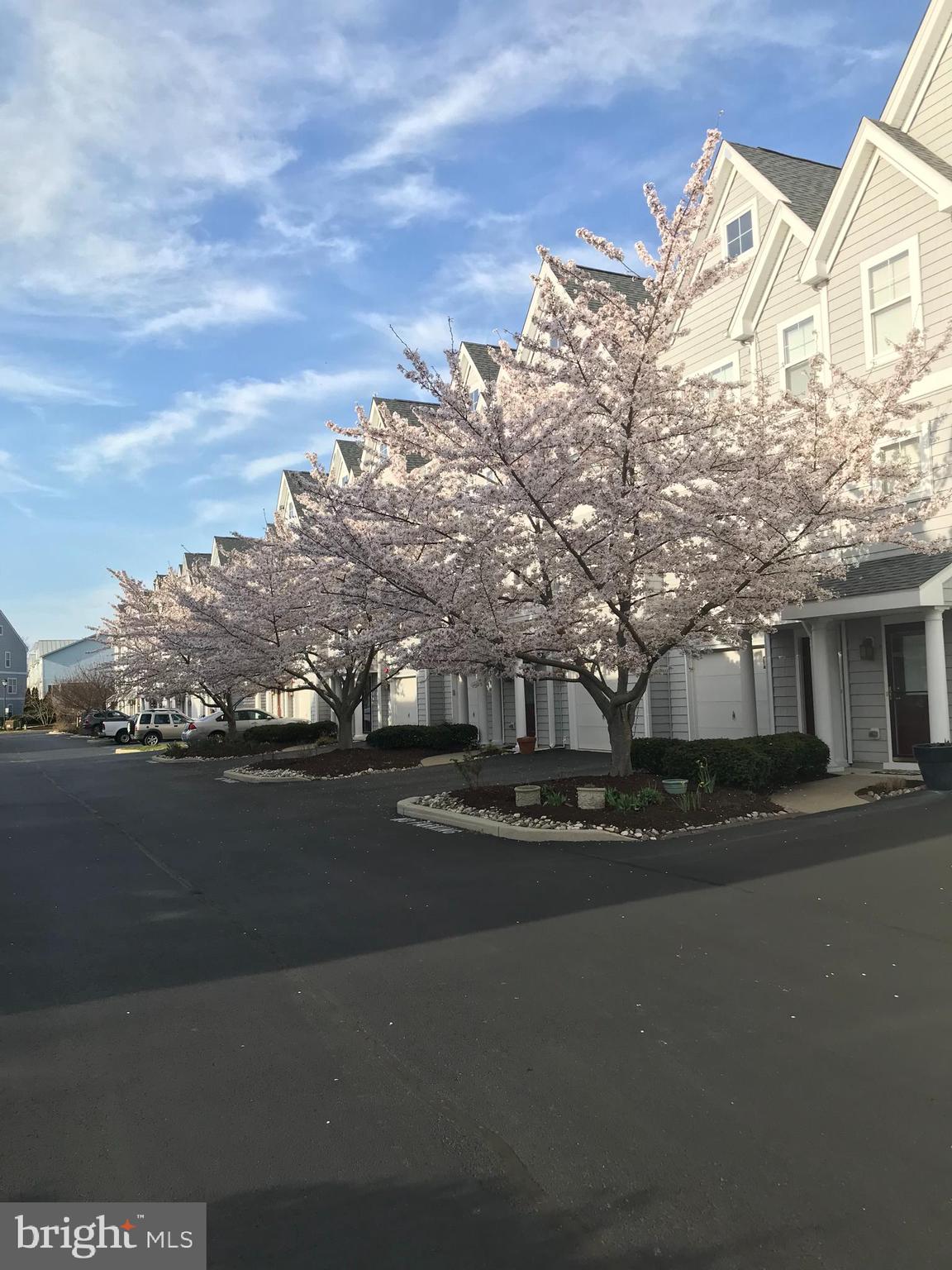 57 CANAL LANDING COURT