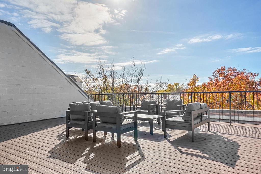 1229 KING ST #204