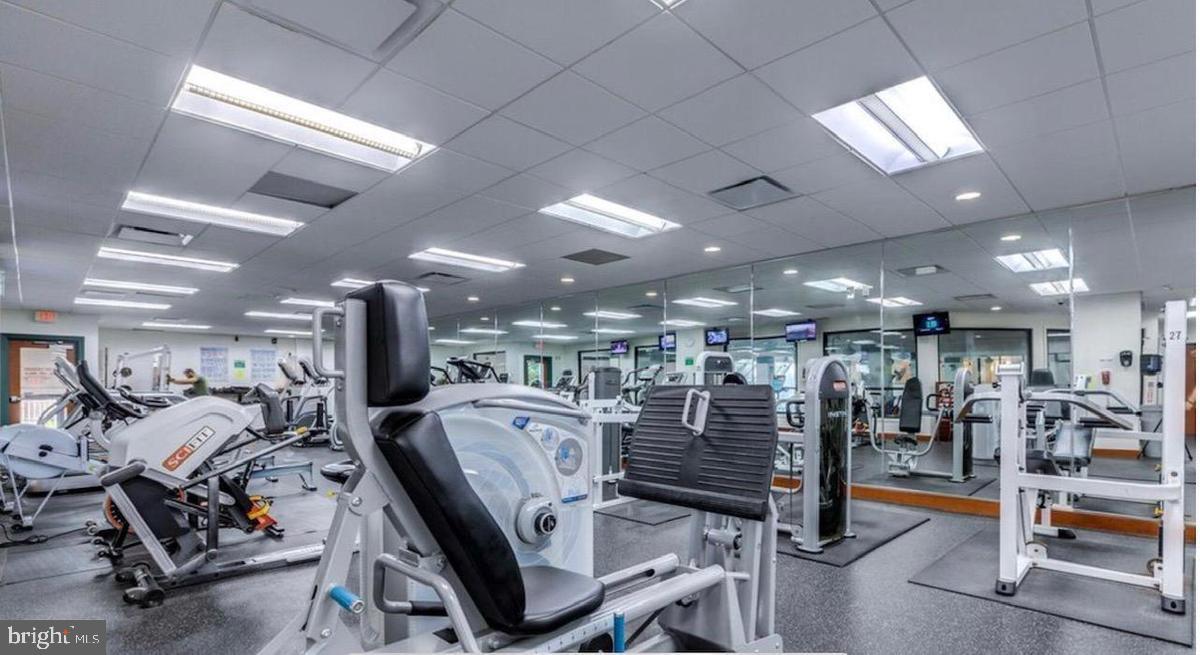 205 YOAKUM PARKWAY 1709