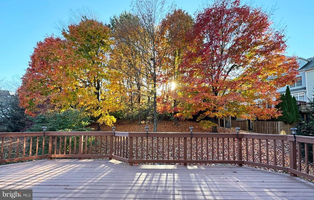 9561 Lagersfield Cir